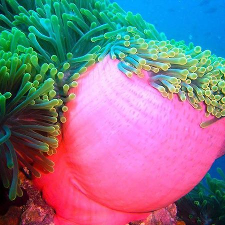 Ranveli Village Villingilivaru Island エクステリア 写真